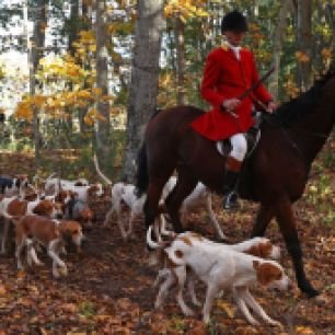 Myopia Hunt - Kitty Crossing Farm