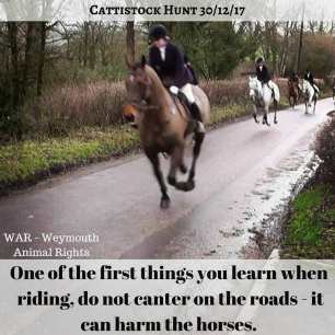 cantering-on-road