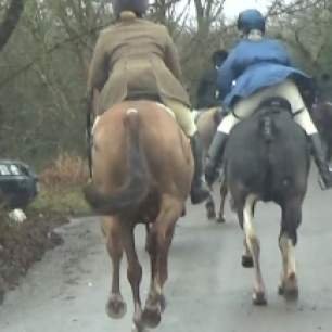 galloping-on-road-5082495