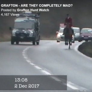 grafton-cantering-on-road-7744