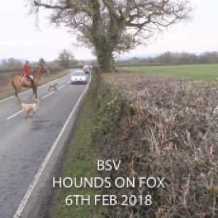 hounds-on-road-992345