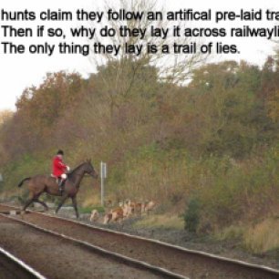 hunt-on-railwayline-88234