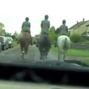 reckless use of horses