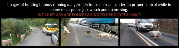 hounds-loose-on-roads-image-header