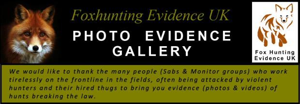 Title banner - Photo Evidence Gallery - Credit