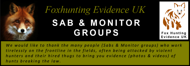 Title banner - Sab and Monitor Groups