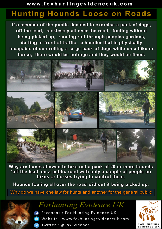 Hounds loose on road poster