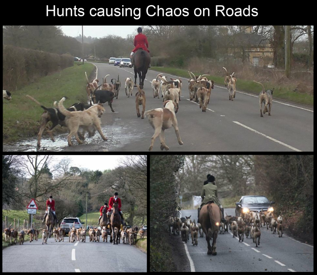 Hunts causing chaos on roads - Banner 001