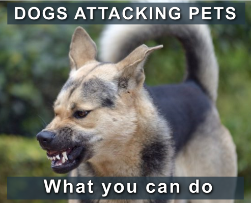 Dogs attacking Pets banner